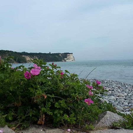Hering Fewo I Apartment Terrace Wiek auf Rügen Dış mekan fotoğraf