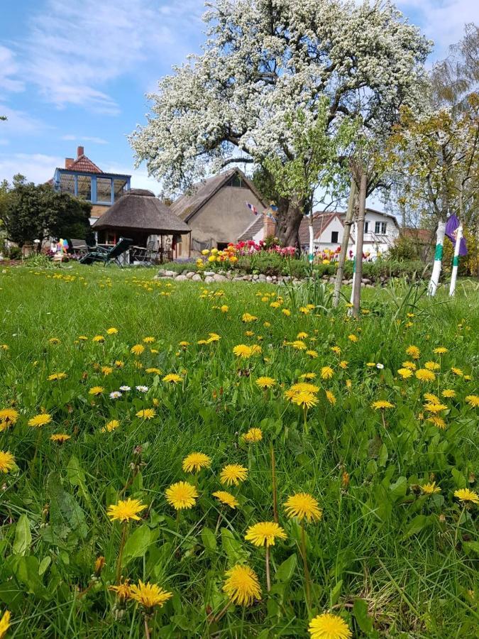 Hering Fewo I Apartment Terrace Wiek auf Rügen Dış mekan fotoğraf