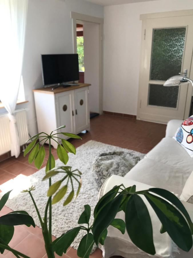 Hering Fewo I Apartment Terrace Wiek auf Rügen Dış mekan fotoğraf