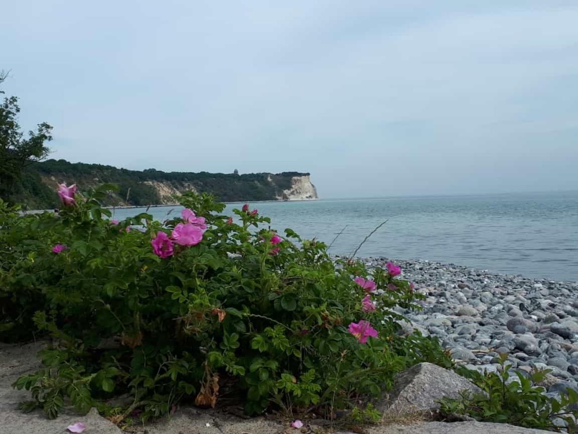 Hering Fewo I Apartment Terrace Wiek auf Rügen Dış mekan fotoğraf