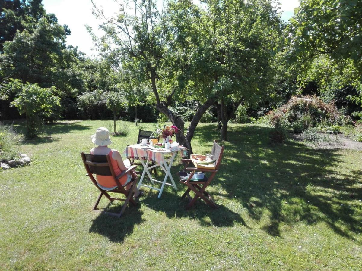 Hering Fewo I Apartment Terrace Wiek auf Rügen Dış mekan fotoğraf