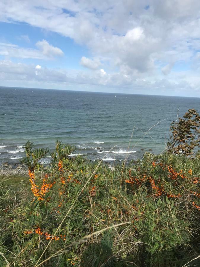 Hering Fewo I Apartment Terrace Wiek auf Rügen Dış mekan fotoğraf